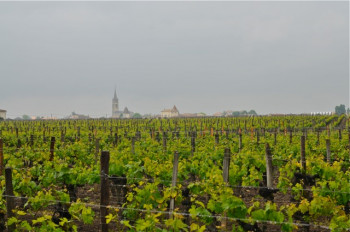 Pomerol Séduction <br> Un week-end à vélo dans le Bordelais